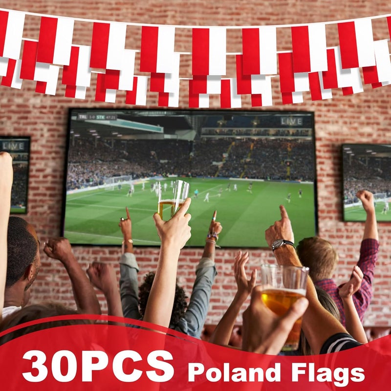 MVPRING Poland String Flag Pennant Banner, Small Mini Polish Flags Bunting Banner, National Country Decoration for School, Party, Sports Events, Patriotic Festival, 33 Feet 30 Flags - Image 5